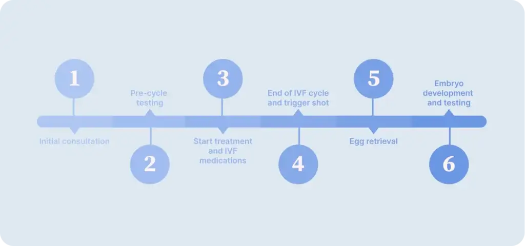 glp-1 and ivf What to Expect During Your IVF Journey